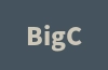 BigCommerce独立站的运营方法和技巧是什么？