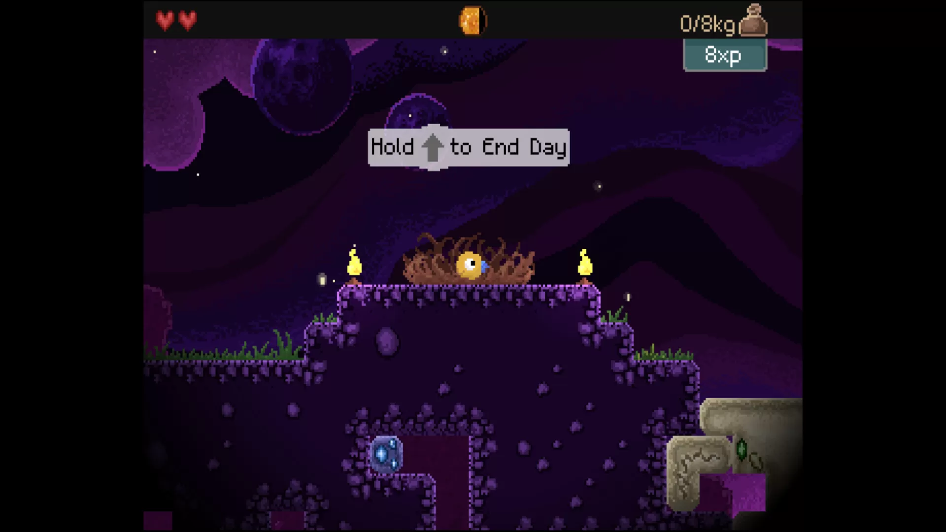 钻头鸟/Drill Bird 钻头鸟/Drill Bird