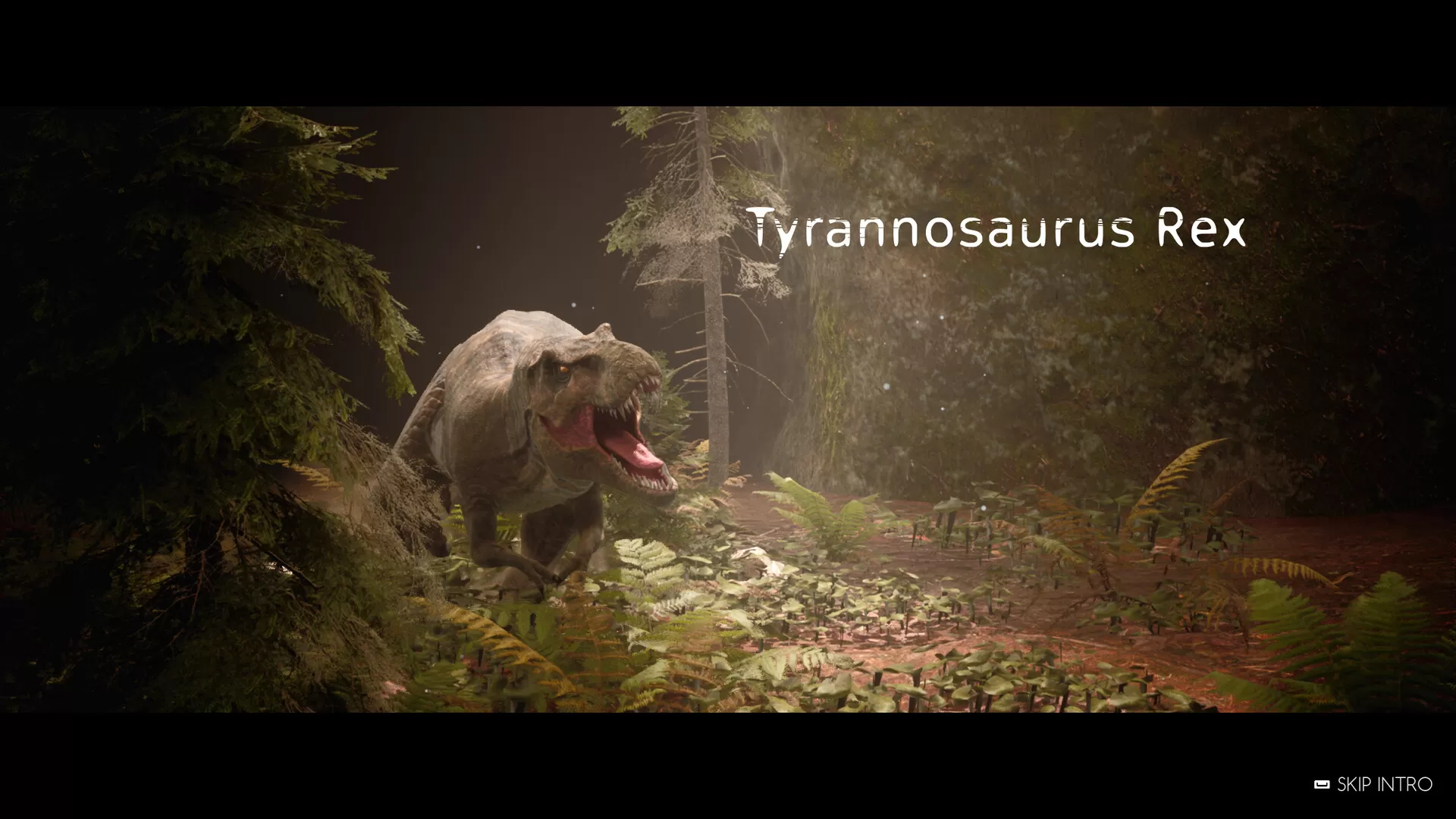 骨之王者/King of Bones