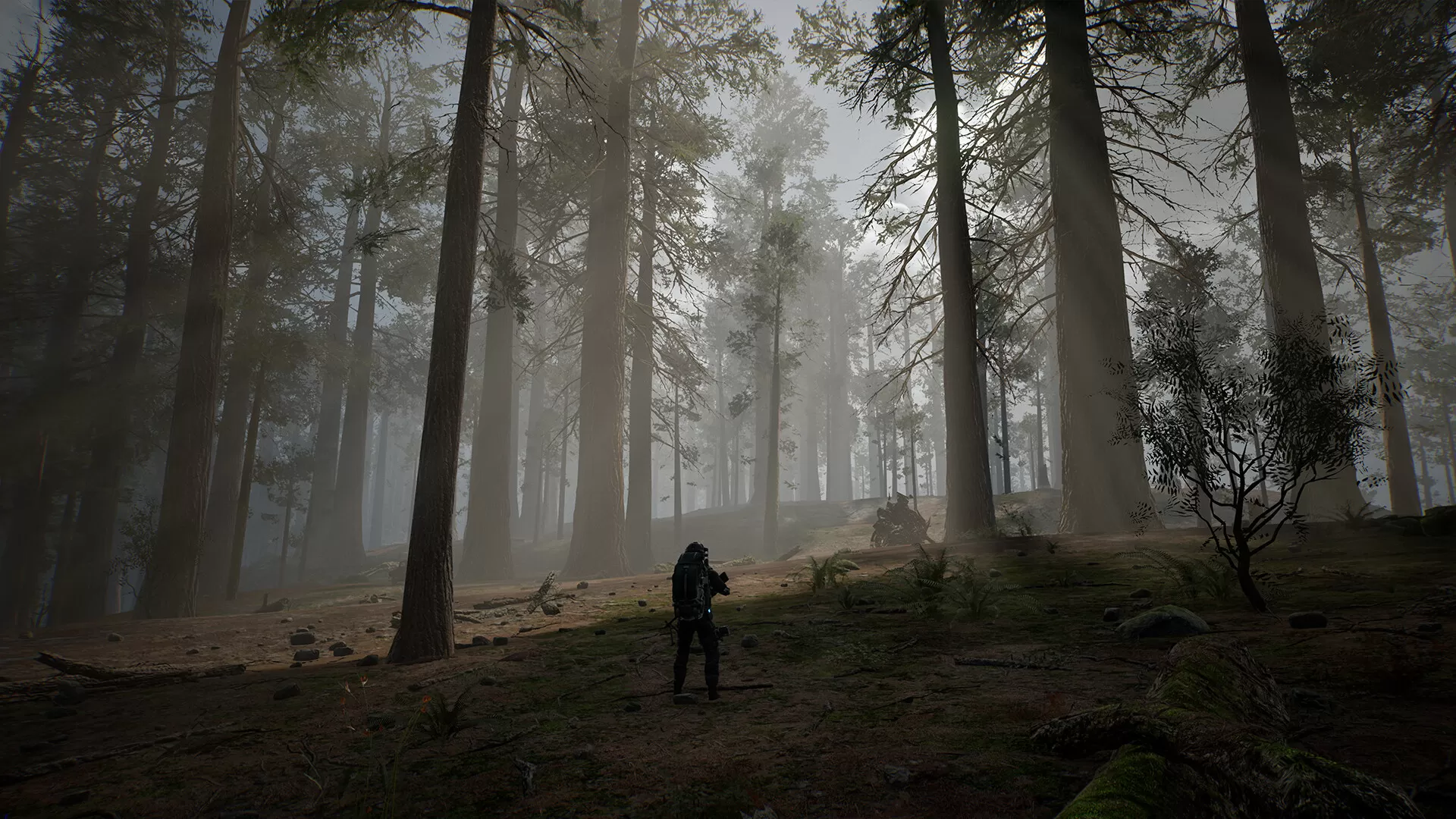 生命效应/LIFE EFFECT