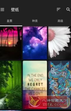 ZEDGE 铃声和壁纸v9.0.1高级版