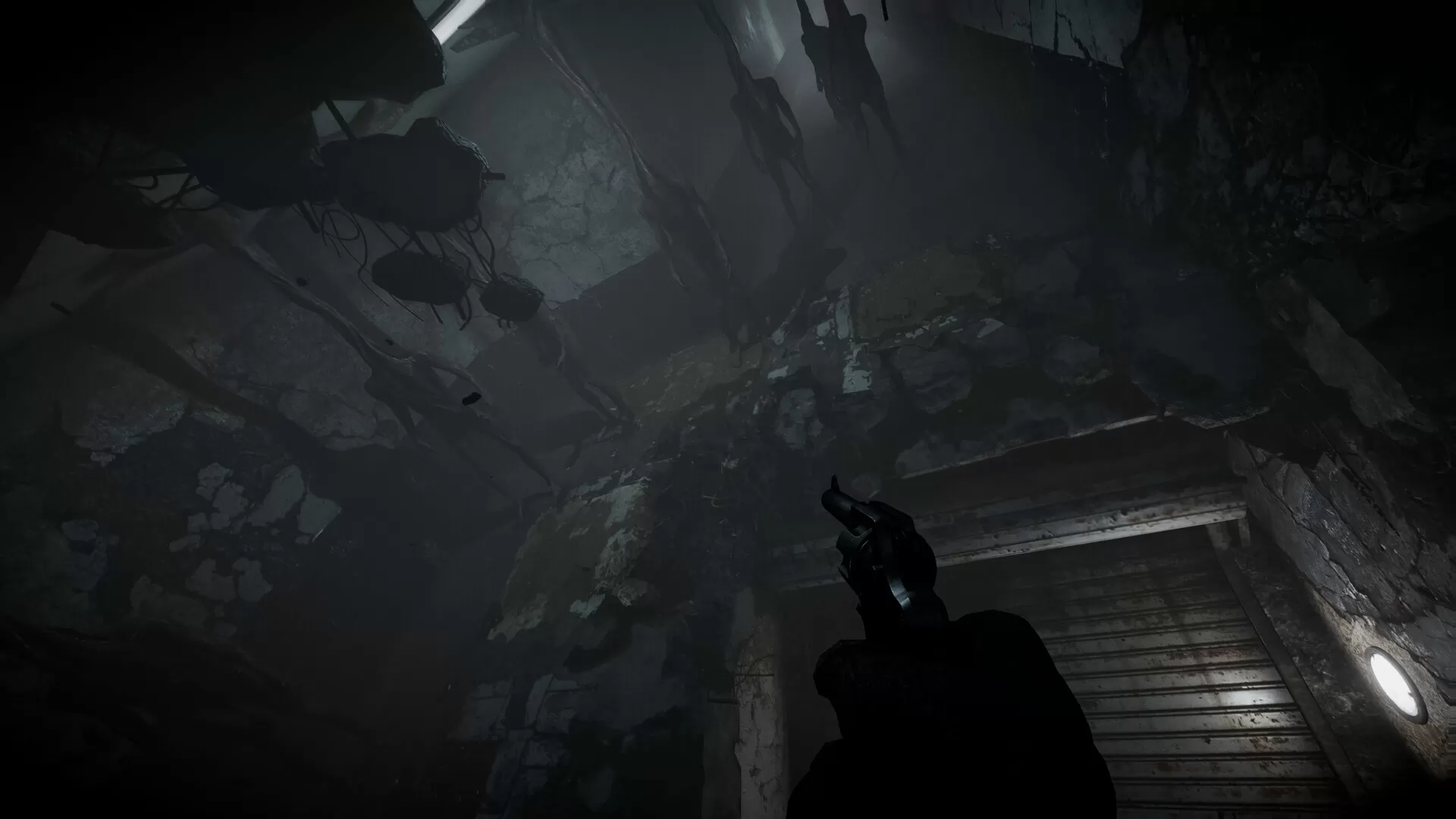 全面混沌/Total Chaos 全面混沌/Total Chaos