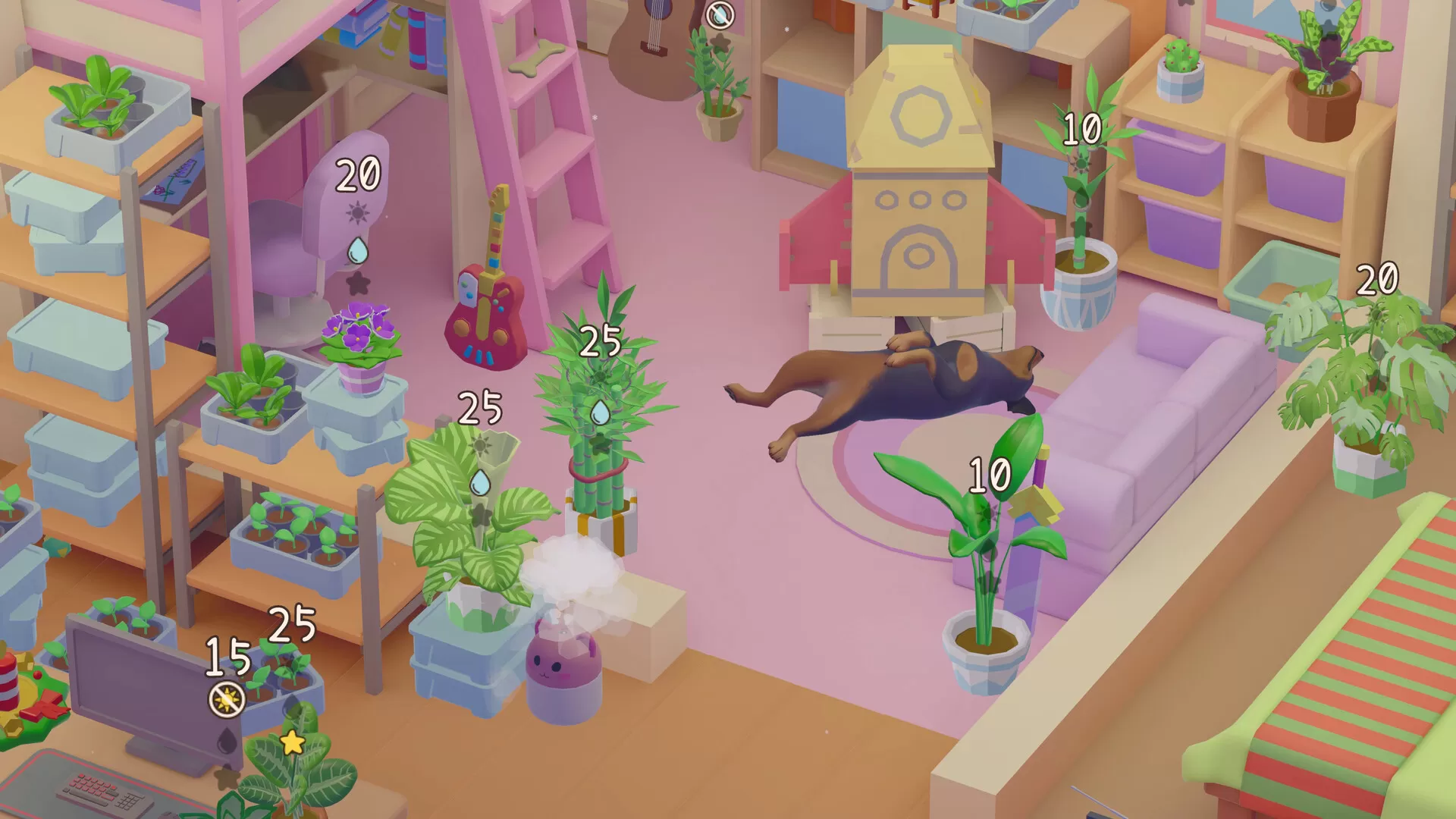 我的小绿屋/Urban Jungle 我的小绿屋/Urban Jungle