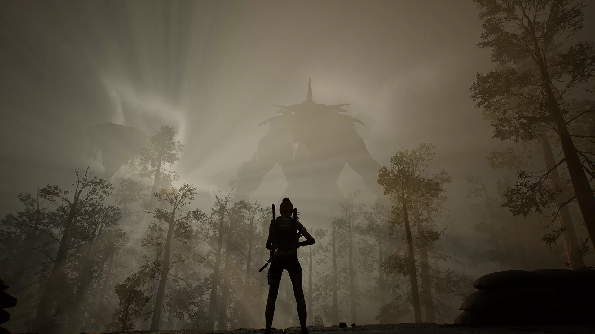 生命效应/LIFE EFFECT