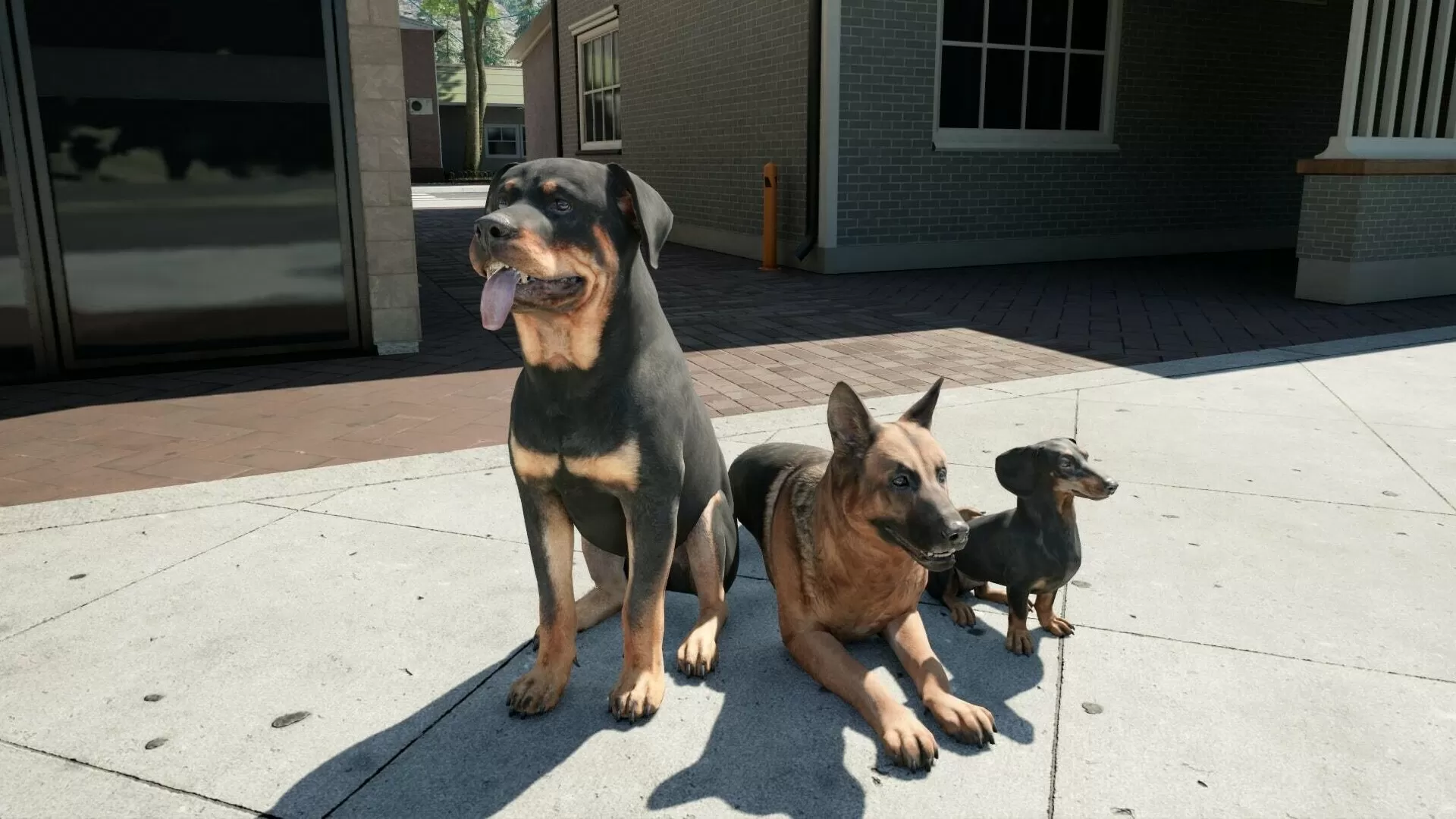 牧场模拟器/Ranch Simulator/支持网络联机